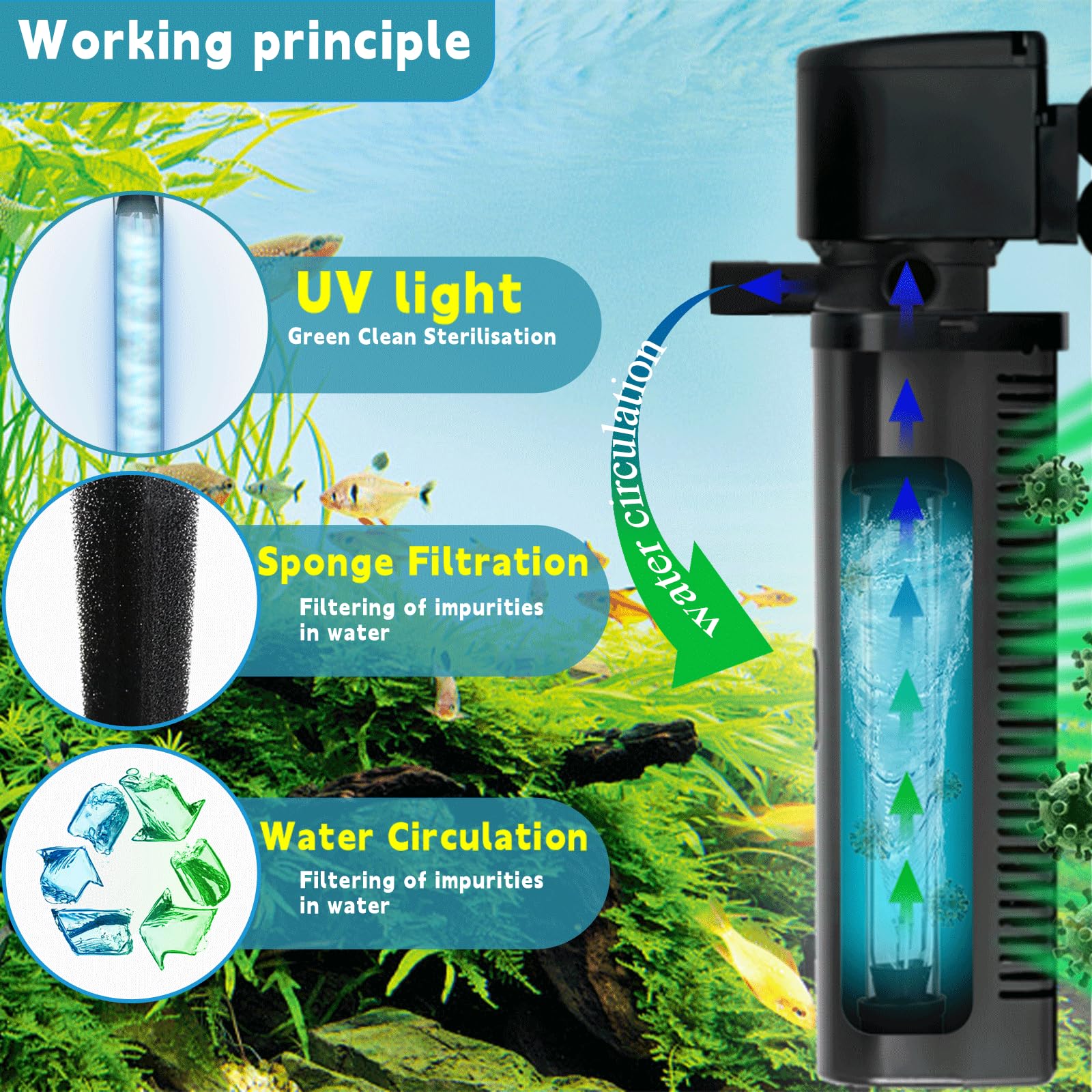 coospider-repta independent-switch lets you run filtration or UV separately.