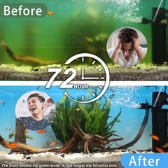 coospider-repta uv-lamp keeps green water at bay, supporting clear, vibrant aquariums.