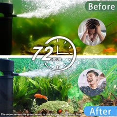 Coospider-Repta UV lamp reduces algae and supports water clarity