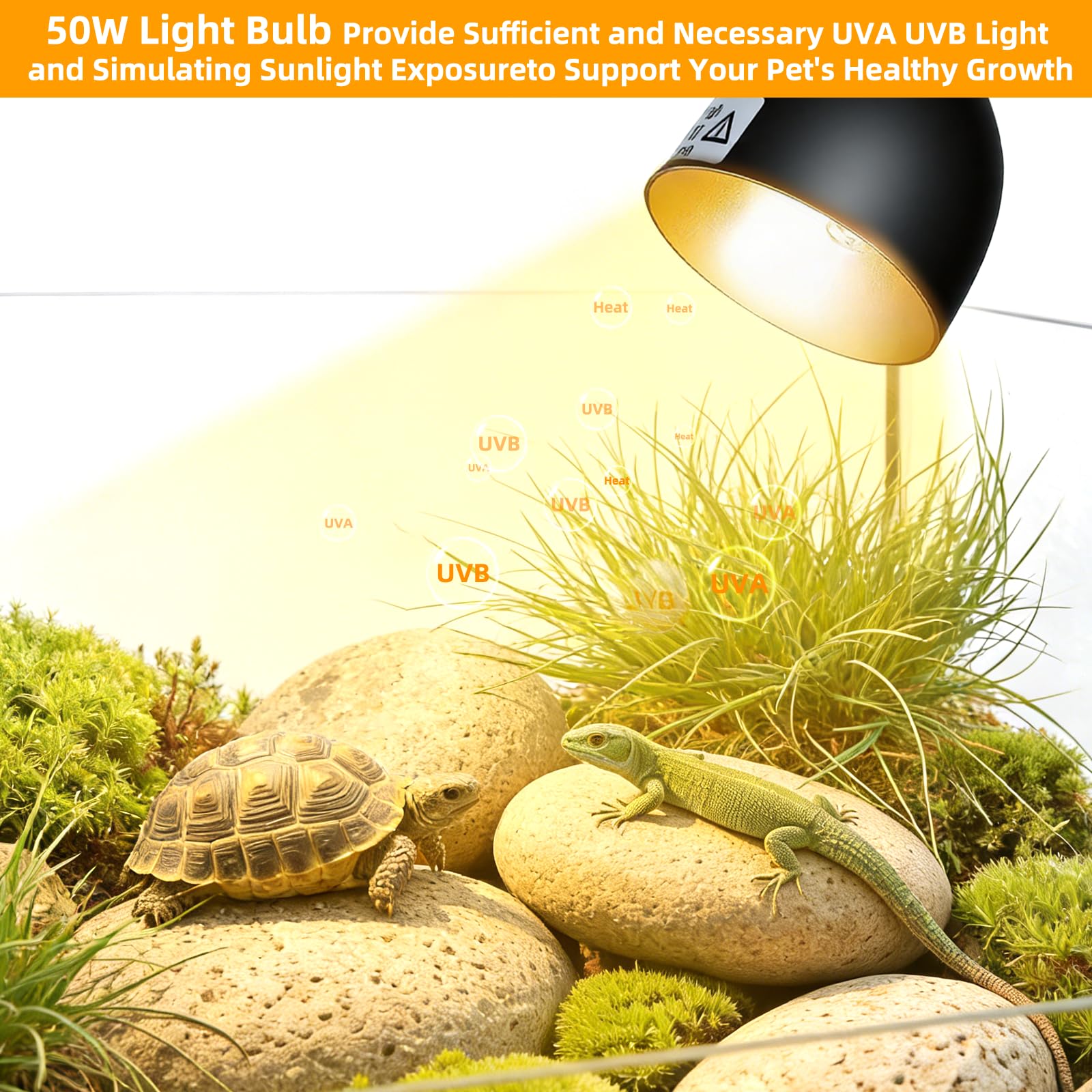 COOSPIDER turtle-lizard-bearded-dragon-setup provides a versatile terrarium warmth solution.