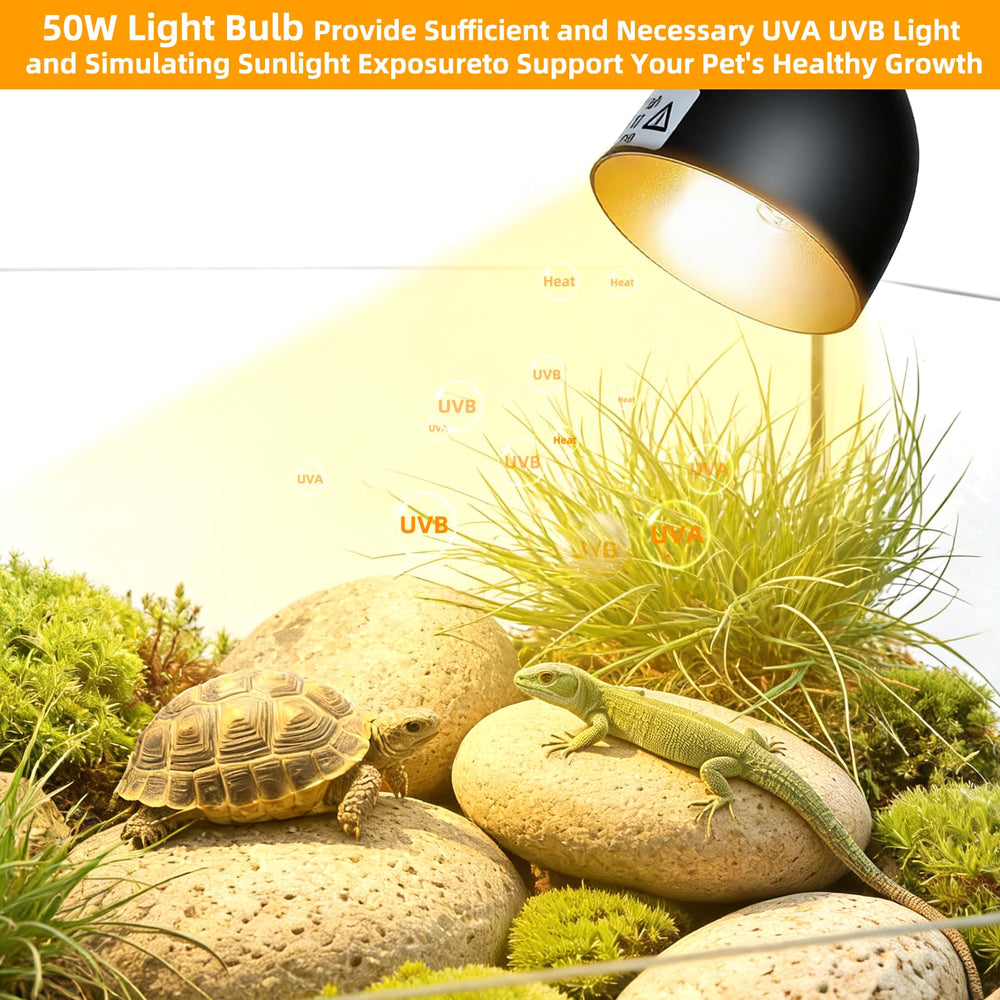 COOSPIDER turtle-lizard-bearded-dragon-setup provides a versatile terrarium warmth solution.