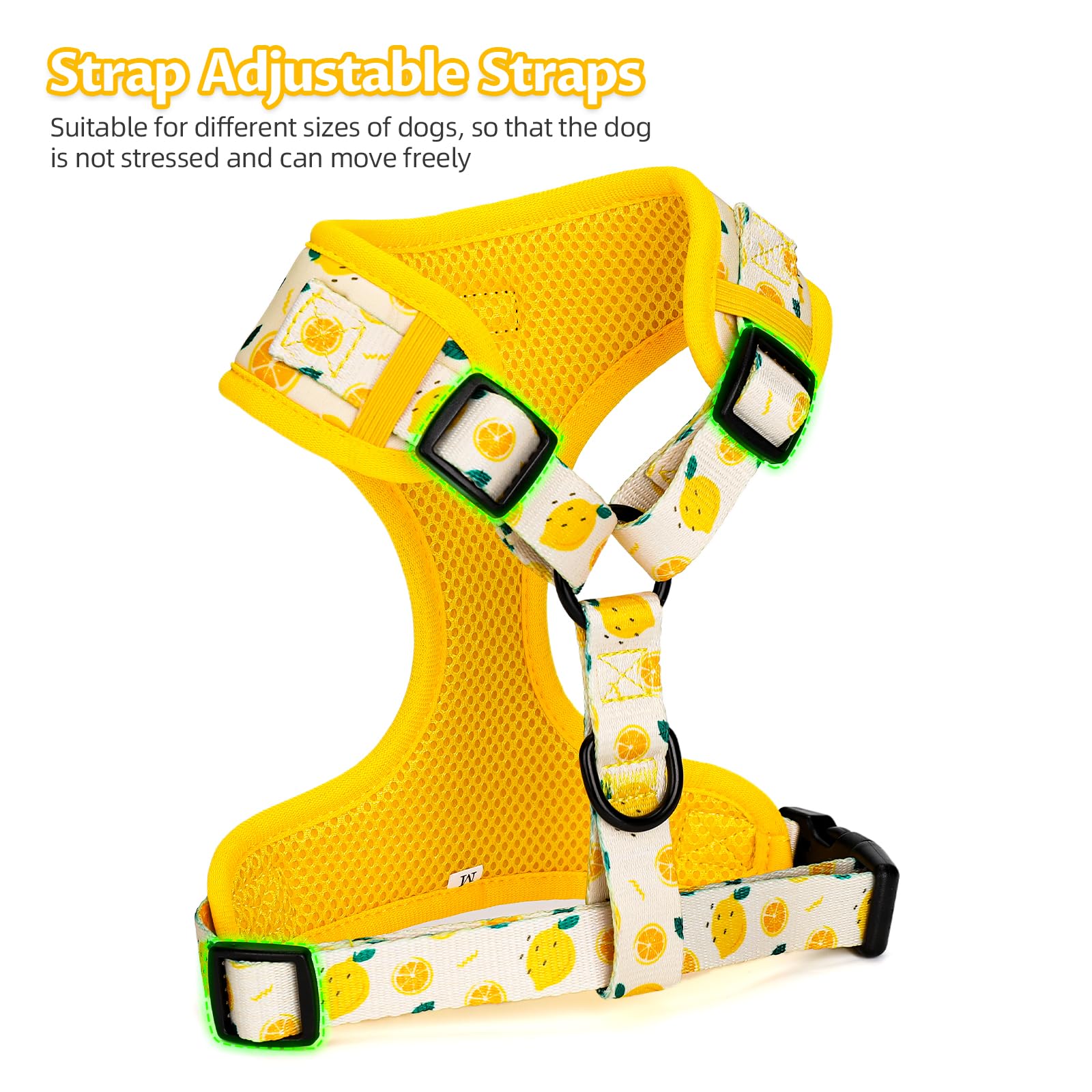 COOWONE adjustable straps on harness for a secure, comfortable fit