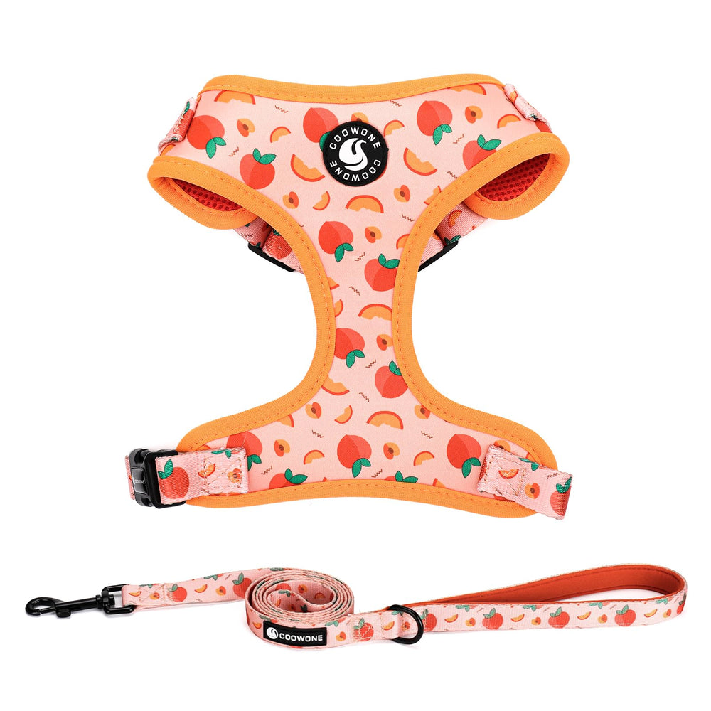 COOWONE dog harness with colorful pattern enhances visibility on daily walks.