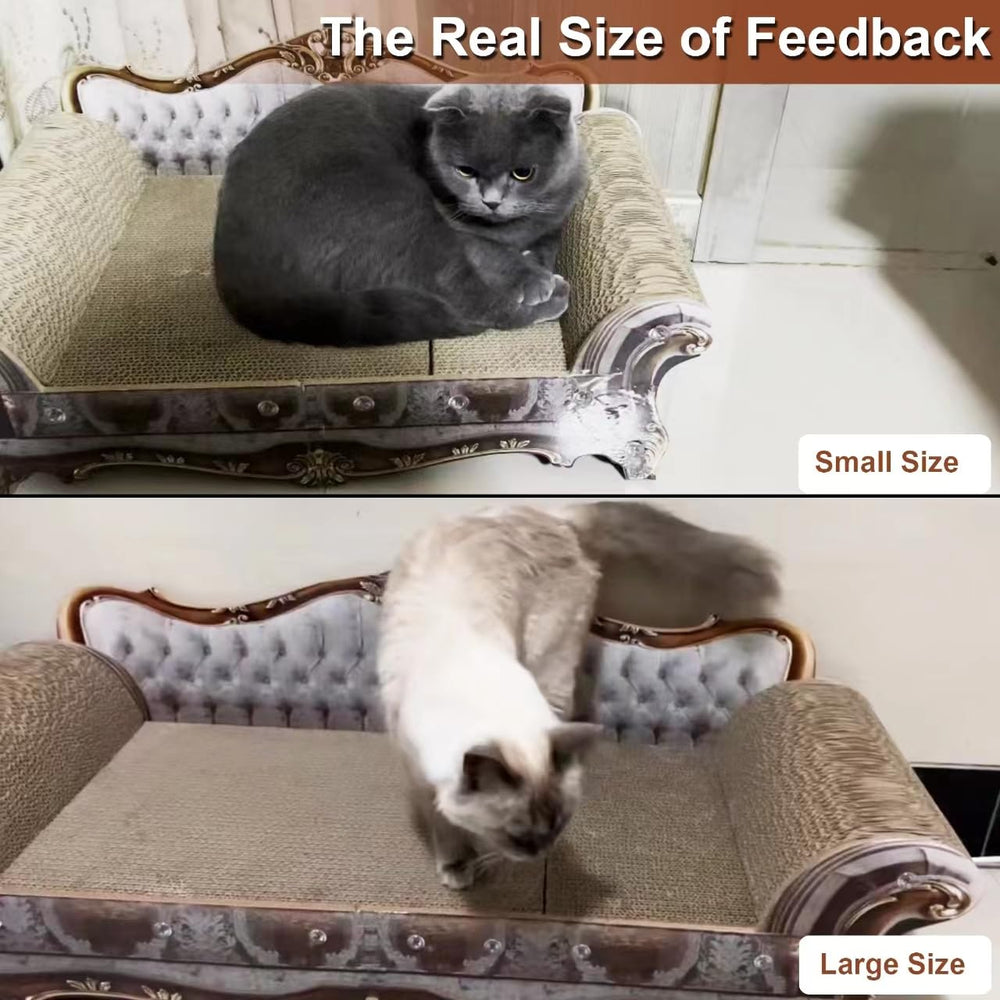 COOZMENT multi-cat friendly space image showing room to sleep, play, and scratch.