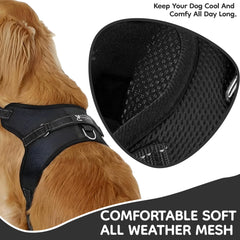 Copatchy No Pull Reflective Harness back view with reflective trim.