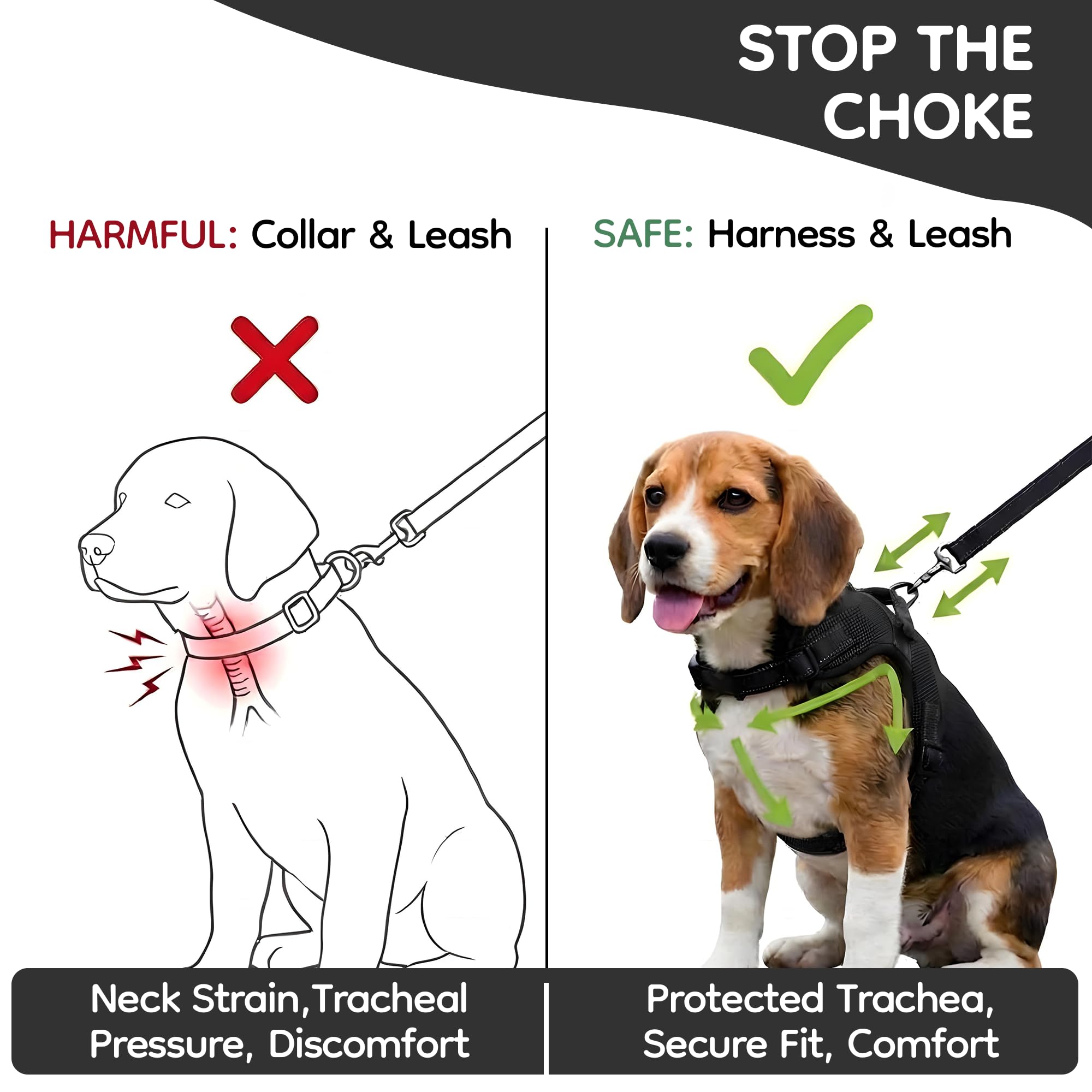 Copatchy No Pull Harness quick-release buckles simplify on/off.