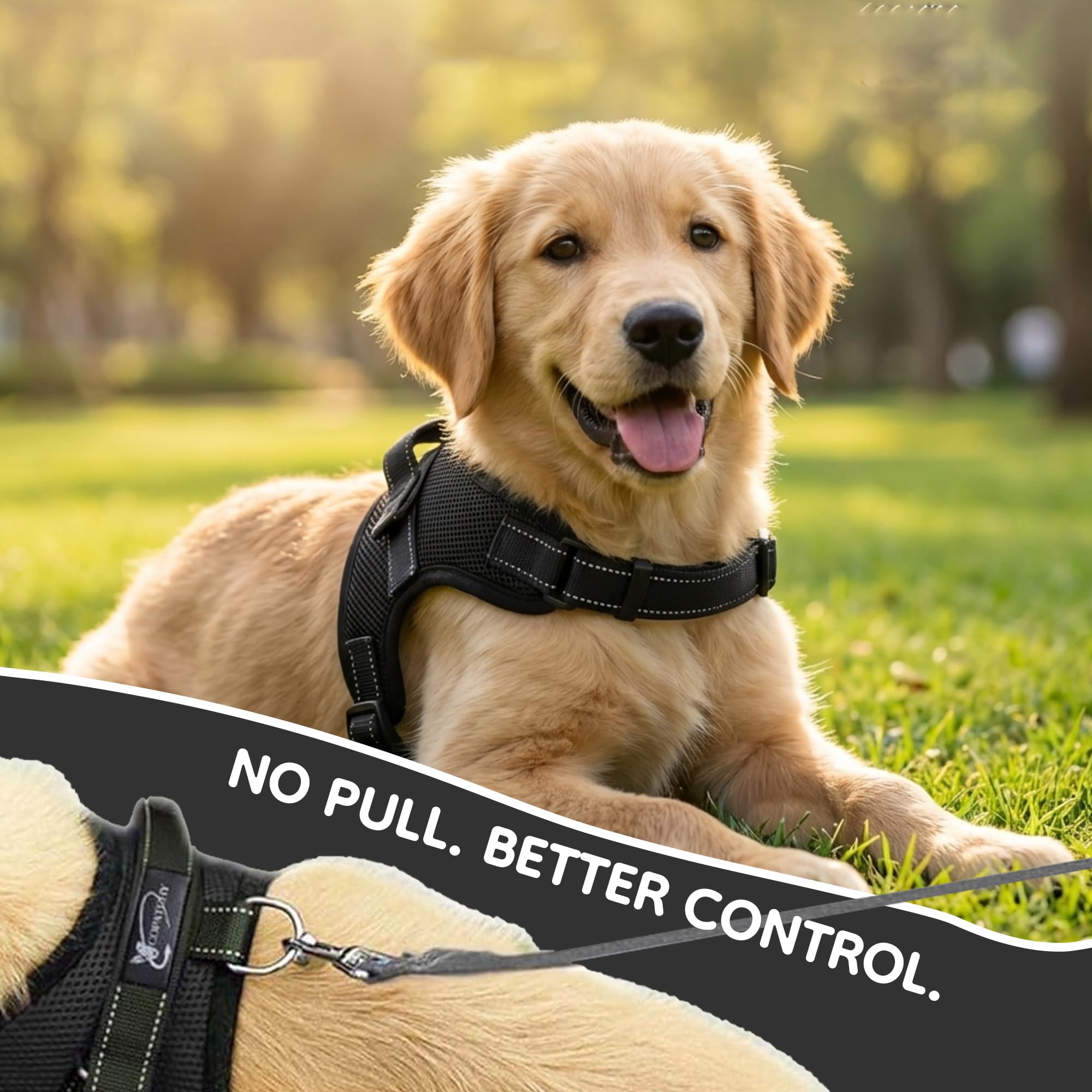 Copatchy No Pull Reflective Harness night visibility boosts safety.