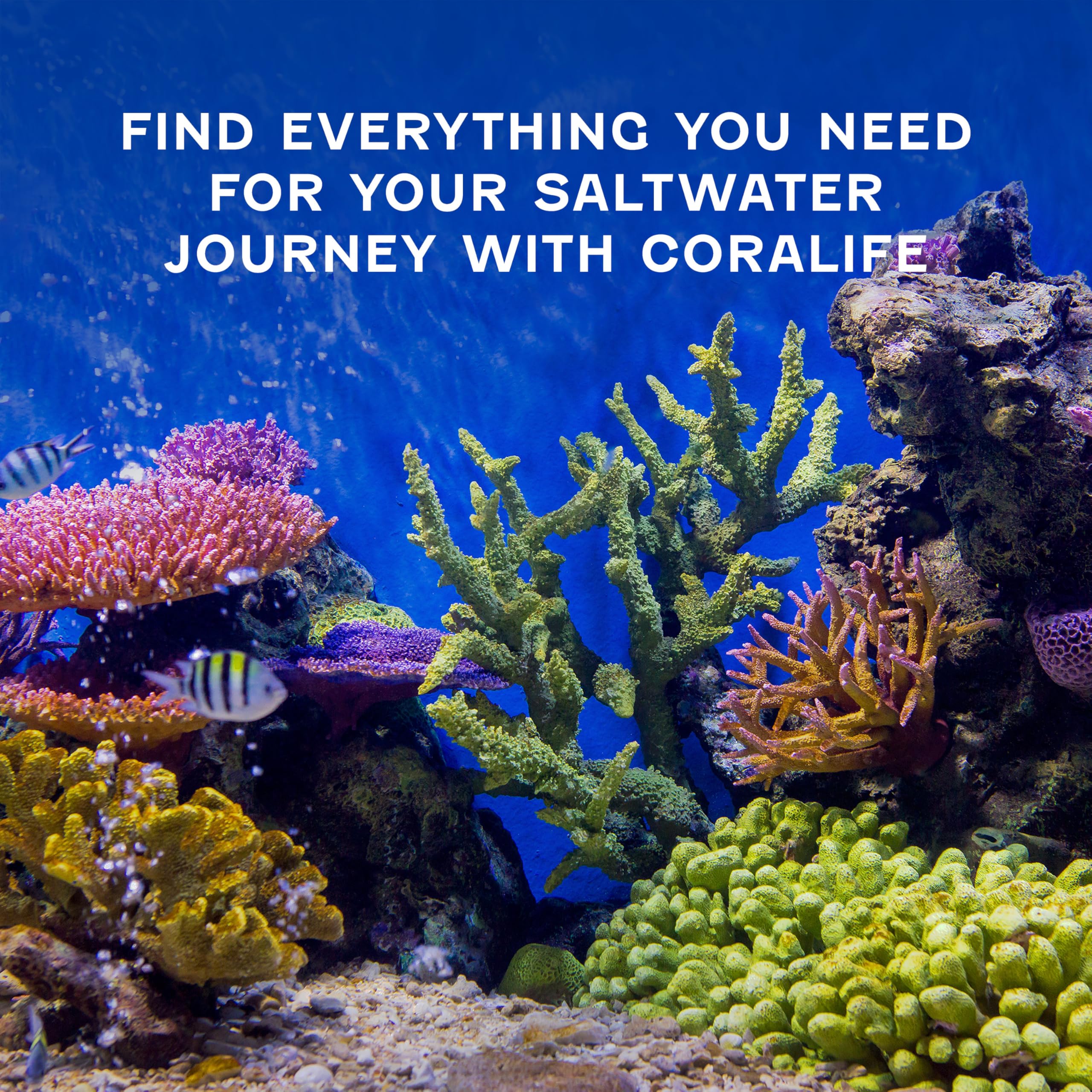 Coralife BioCube Marine Salt neutralizes chlorine and chloramine to support safe water
