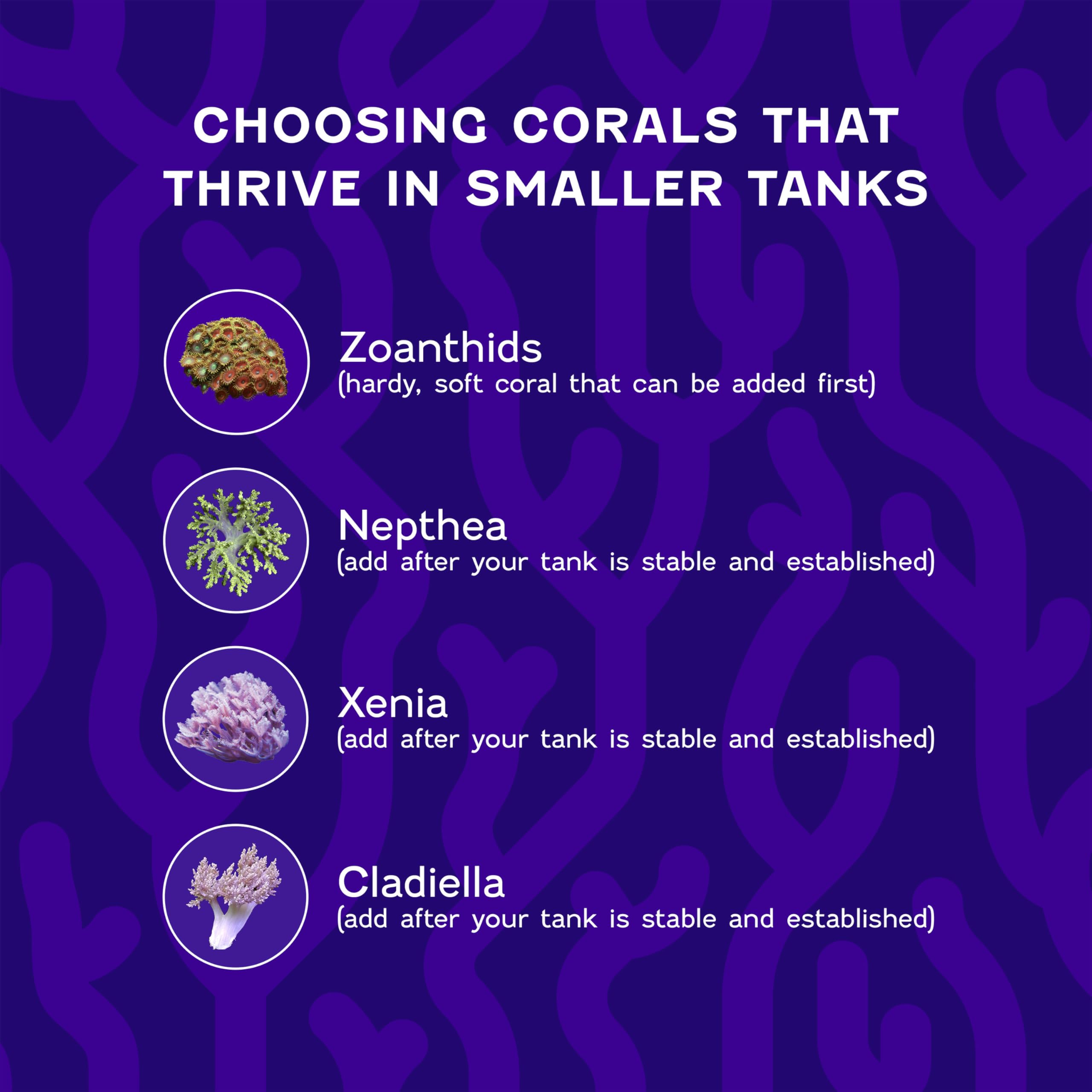 Coralife BioCube Marine Salt ideal for nano reef aquariums and BioCube systems