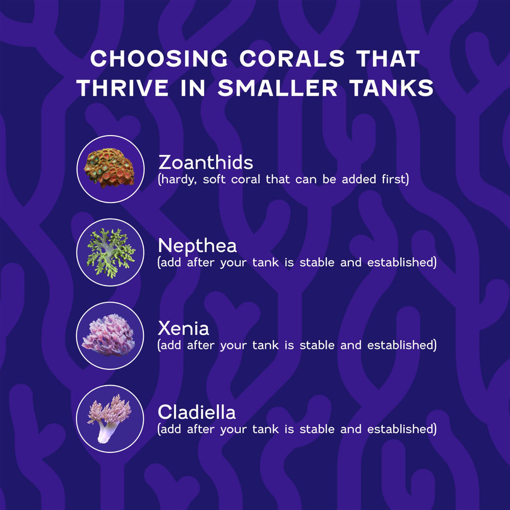 Coralife BioCube Marine Salt ideal for nano reef aquariums and BioCube systems