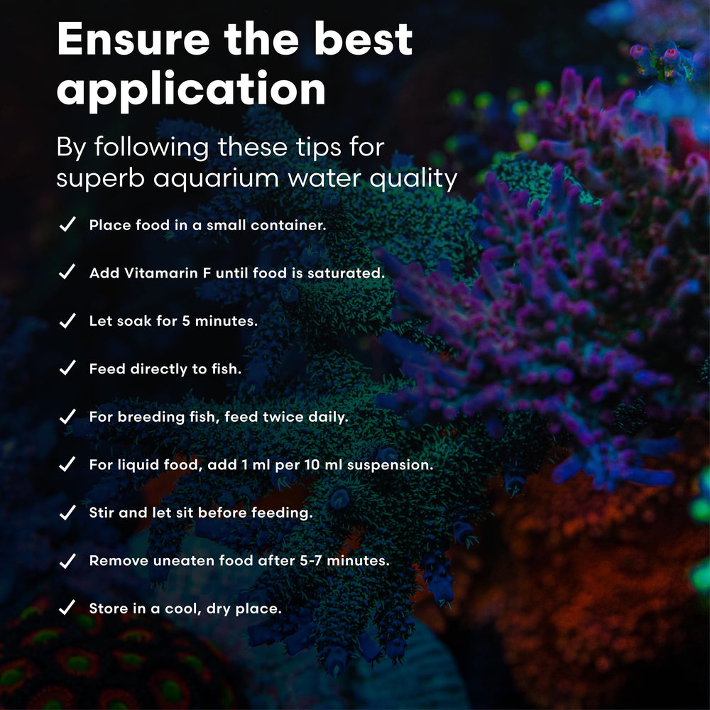 Closeup of pigment-rich fish and corals benefiting from Vitamarin-M.