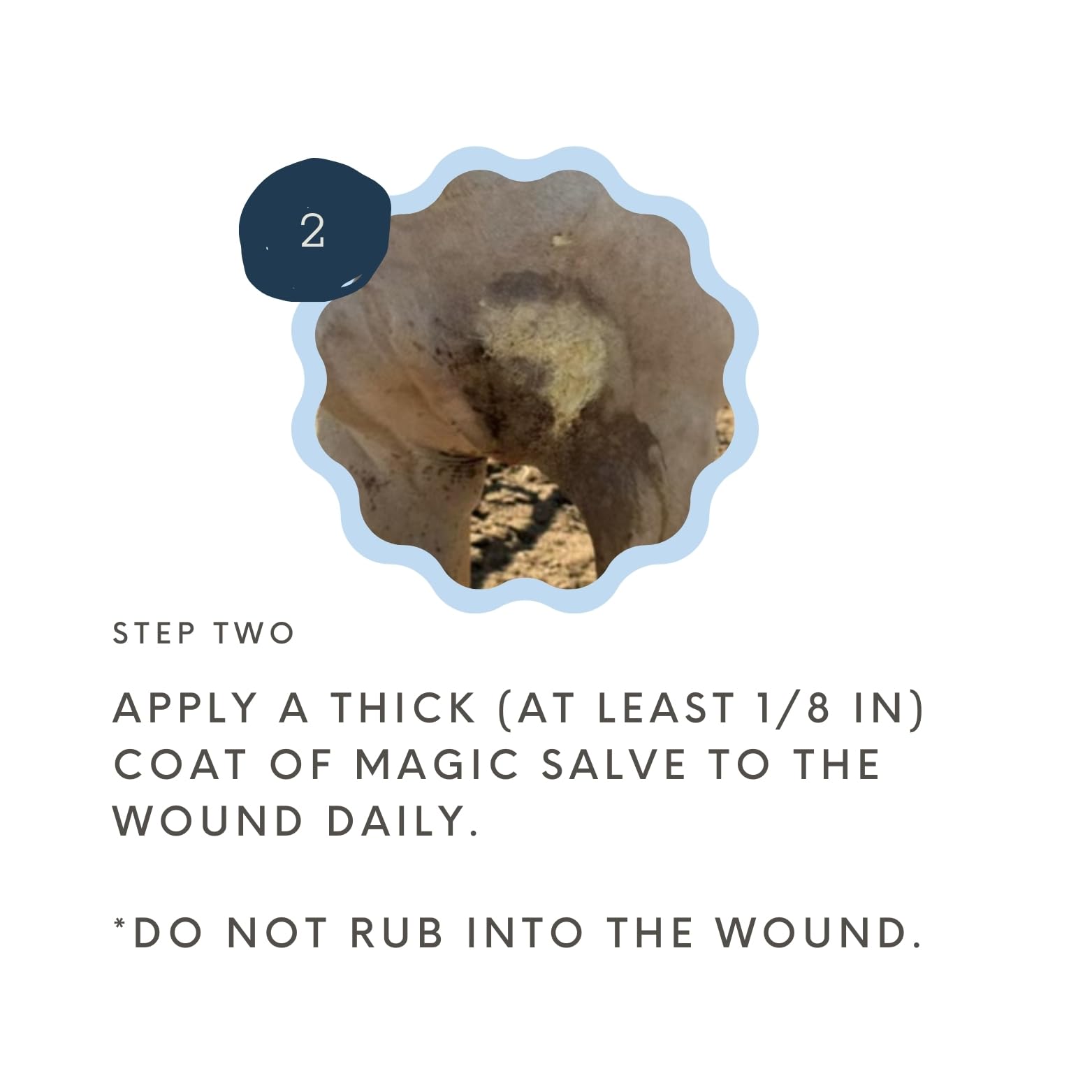 Corazon Therapeutics Wound Salve vet approved label close-up