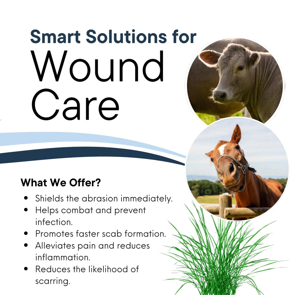Corazon Therapeutics Wound Salve tube close-up showing creamy paste