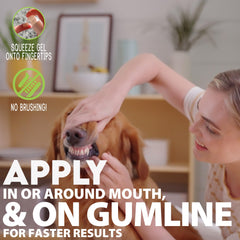 Applying the gel under a dog's gum line for daily oral care.