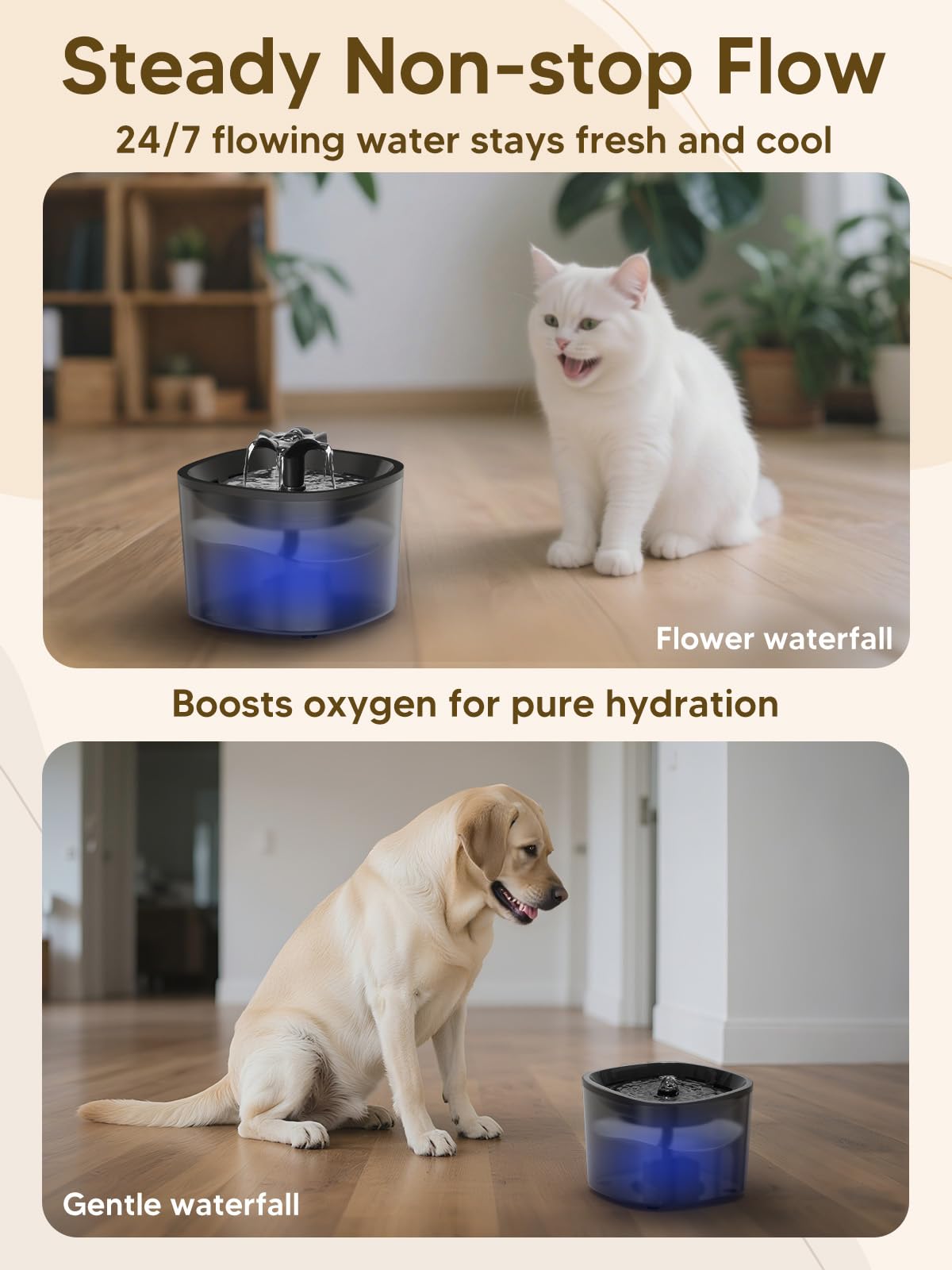 CORGOTE lock lid storage keeps kibble fresh and secure.