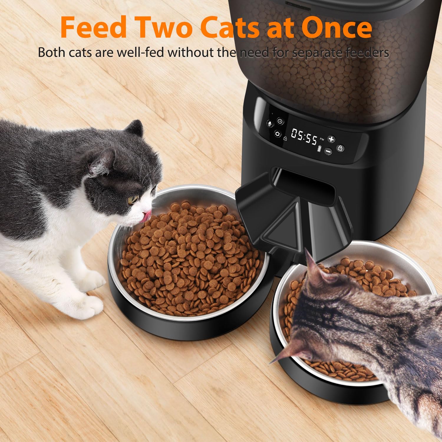 CORGOTE voice meal call feature enables personal mealtime cues.