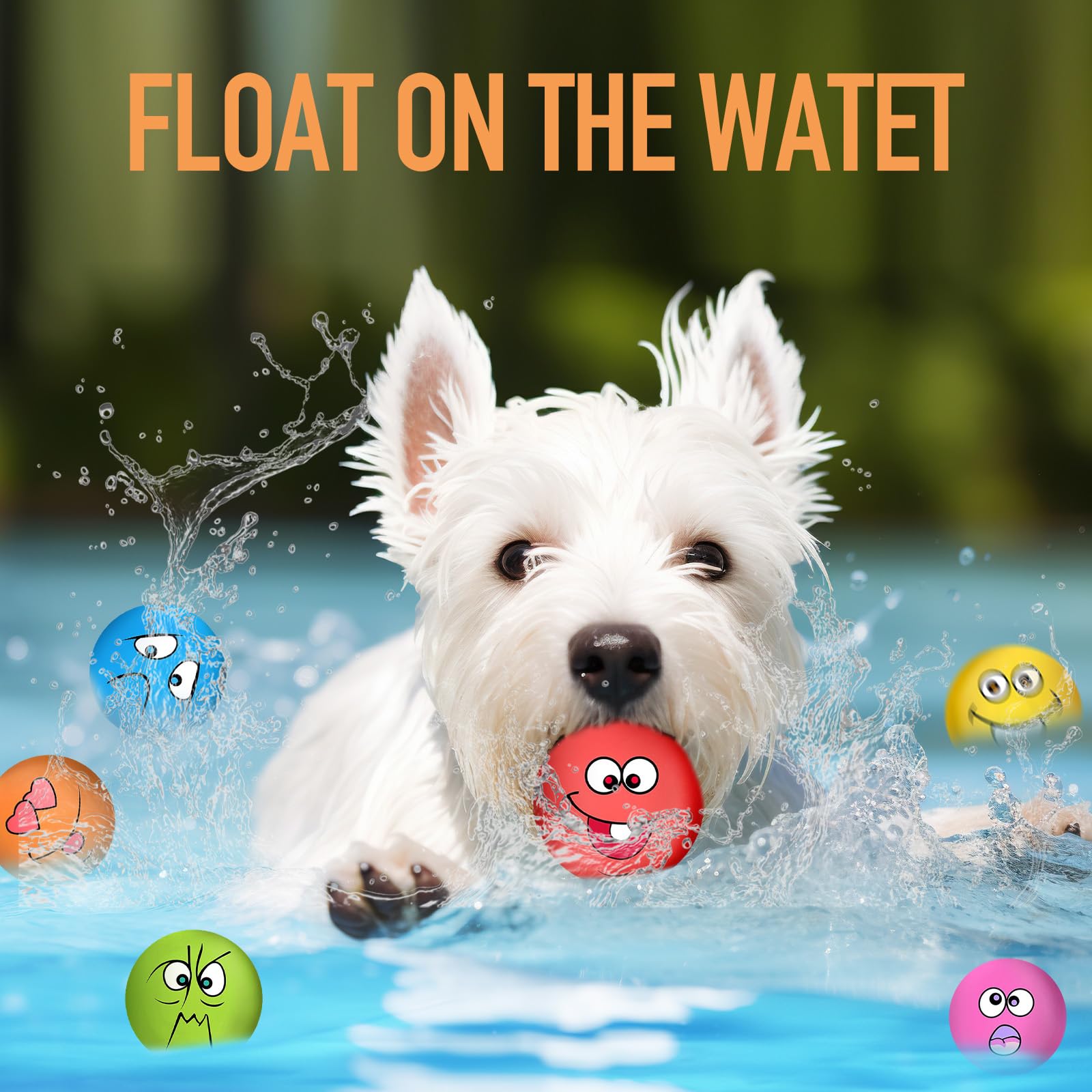 Coricorsu squeaky ball toy delivering bounce for active fetch sessions.