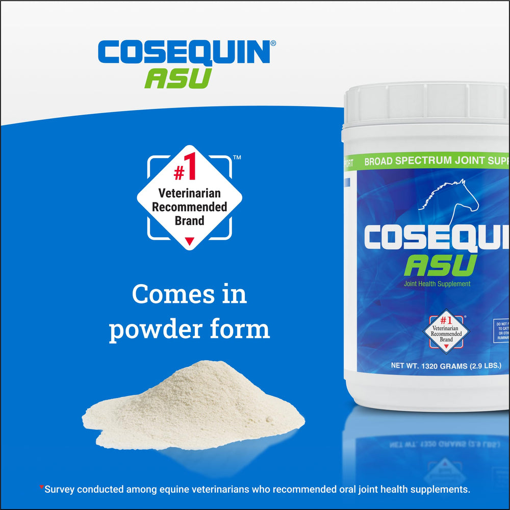 Cosequin ASU for horses promotes confident training with reliable joint health options.