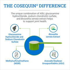 Cosequin ASU horse powder scoop with container emphasizes simple feeding routines.