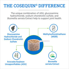 Label highlights glucosamine and chondroitin for joint support