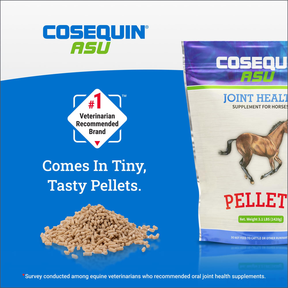 Veterinarian-endorsed joint health supplement for equine athletes