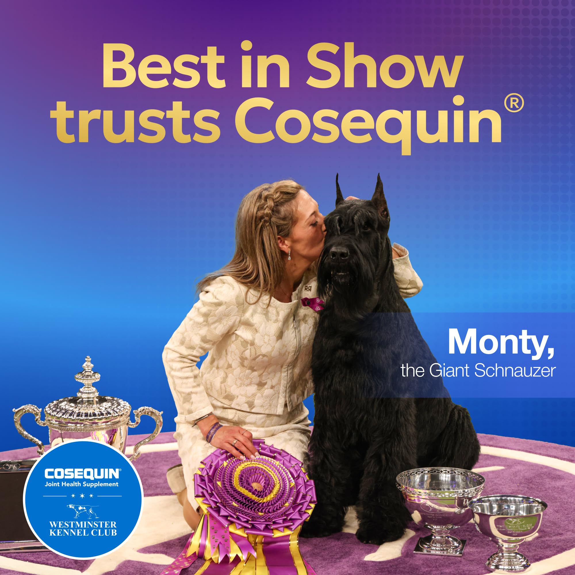 Cosequin dog chews paired in hand ready for daily administration.