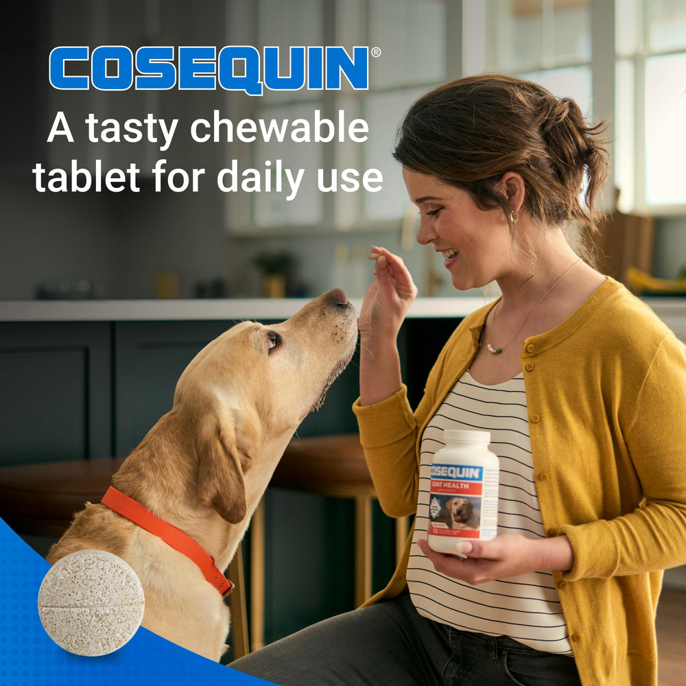 Cosequin dog treats in hand suggesting easy integration into routines.