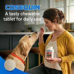 Cosequin dog treats in hand suggesting easy integration into routines.