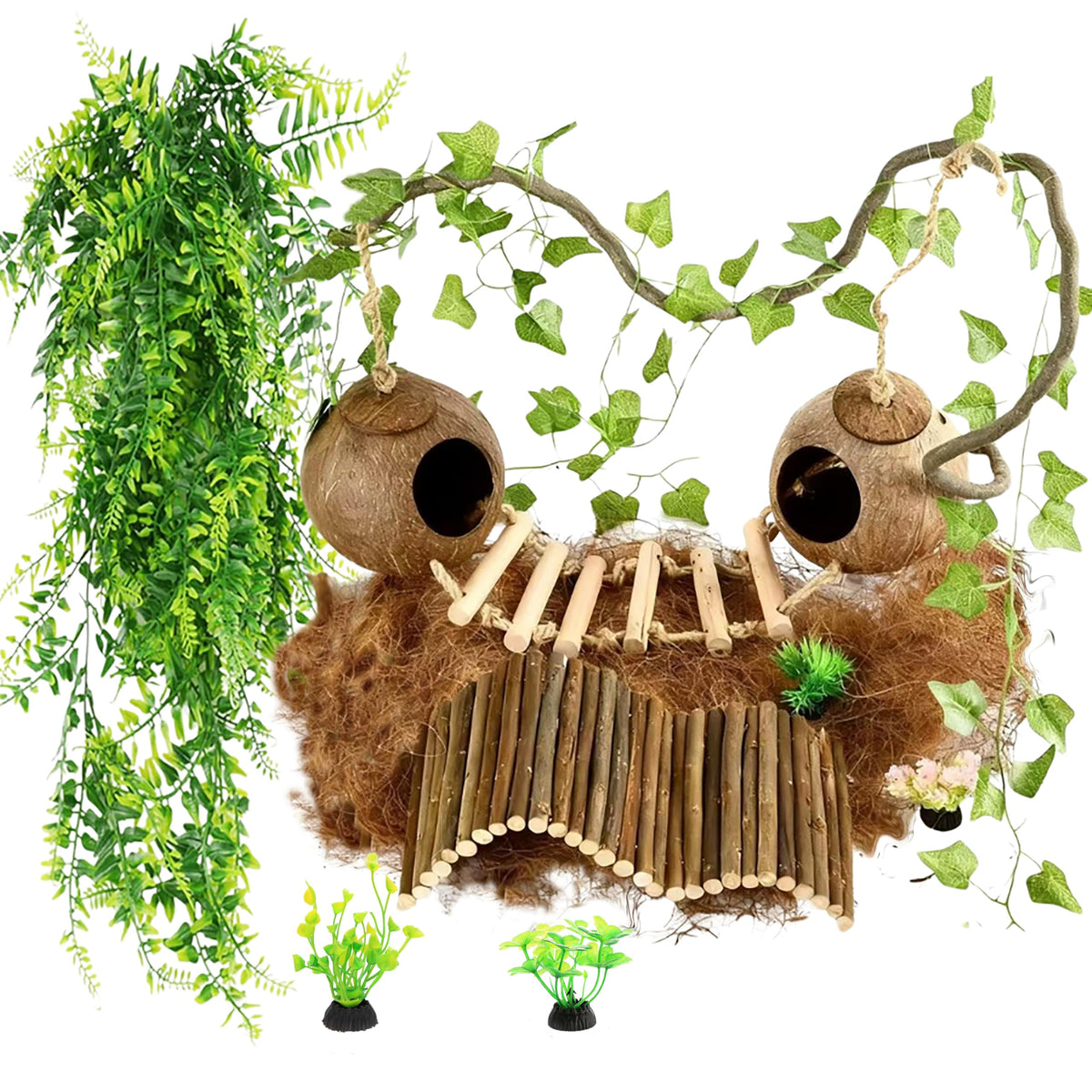 COSOC double coconut shell with ladder for natural hiding and climbing enrichment