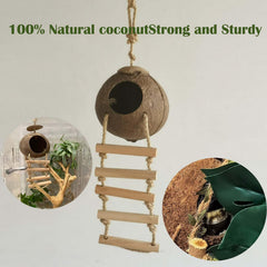 COSOC hanging plant adds natural visual appeal and privacy in the terrarium.