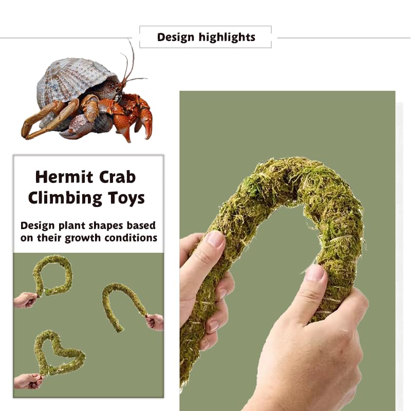 COSOC Hermit Crab accessories pack ready-to-use habitat enrichment