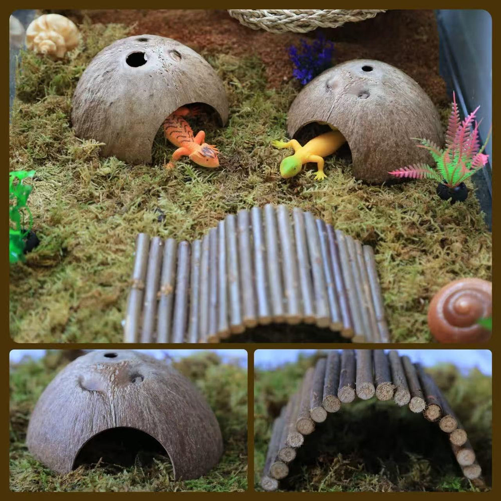 COSOC Hermit Crab coconut hideout provides shade and privacy