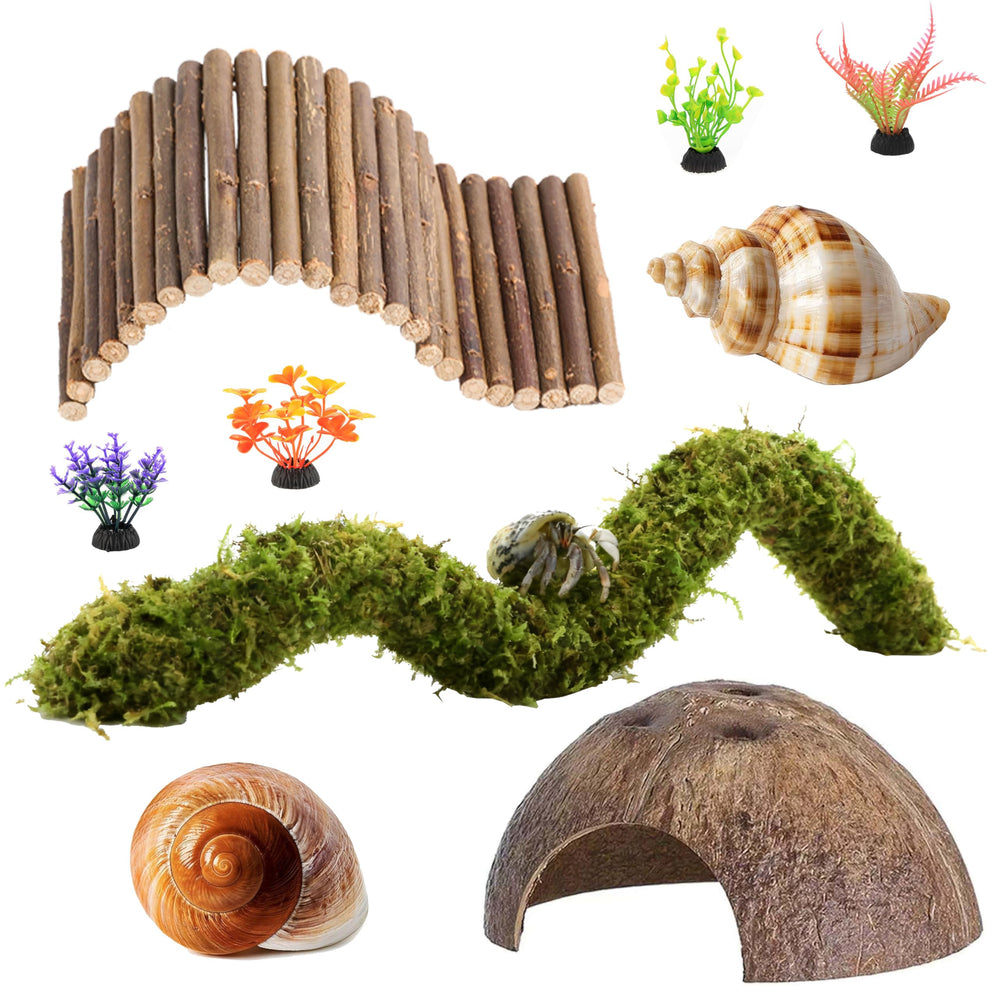 COSOC Hermit Crab natural materials set for enrichment