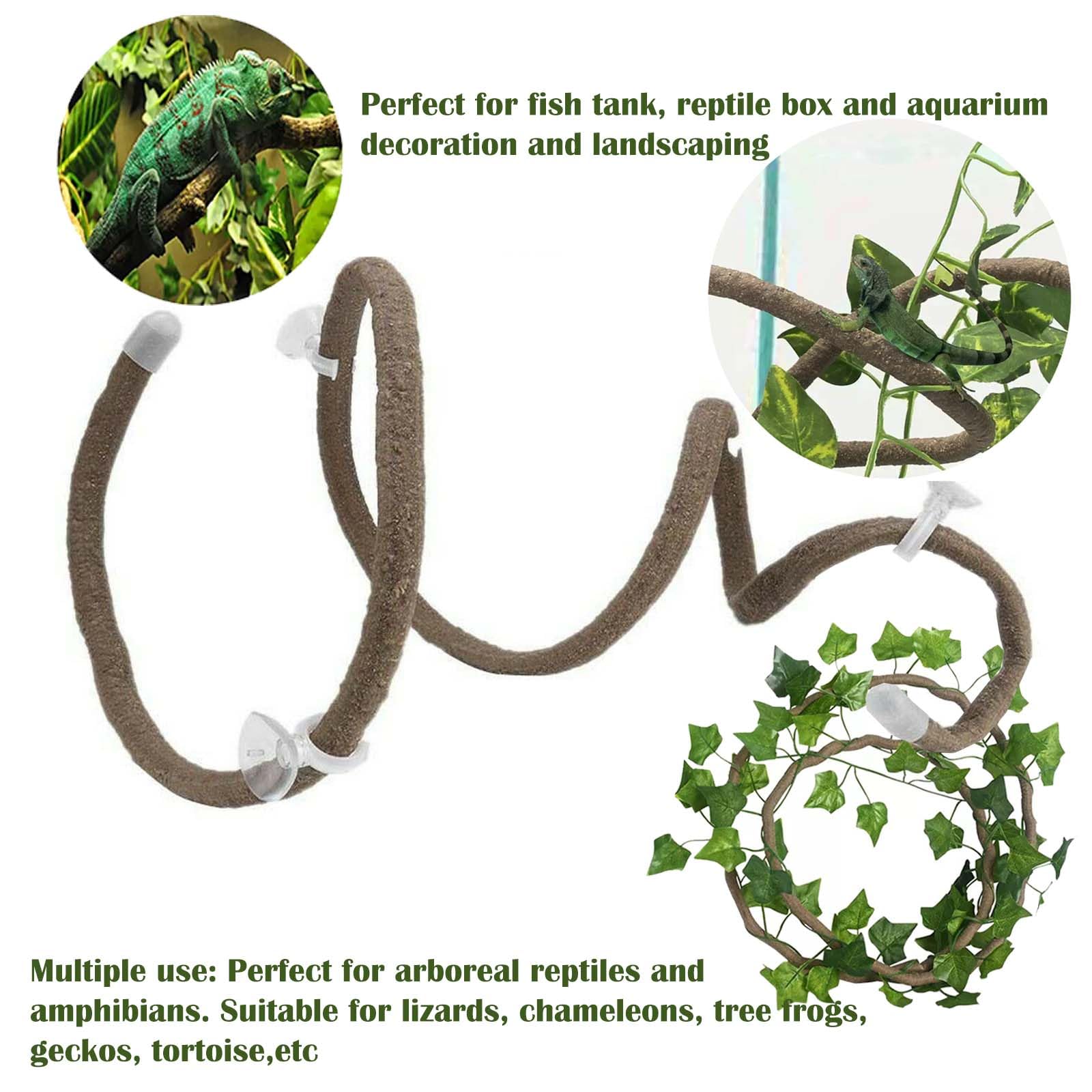 COSOC leaves decorate the habitat while offering hiding spots and microhabitat cues.