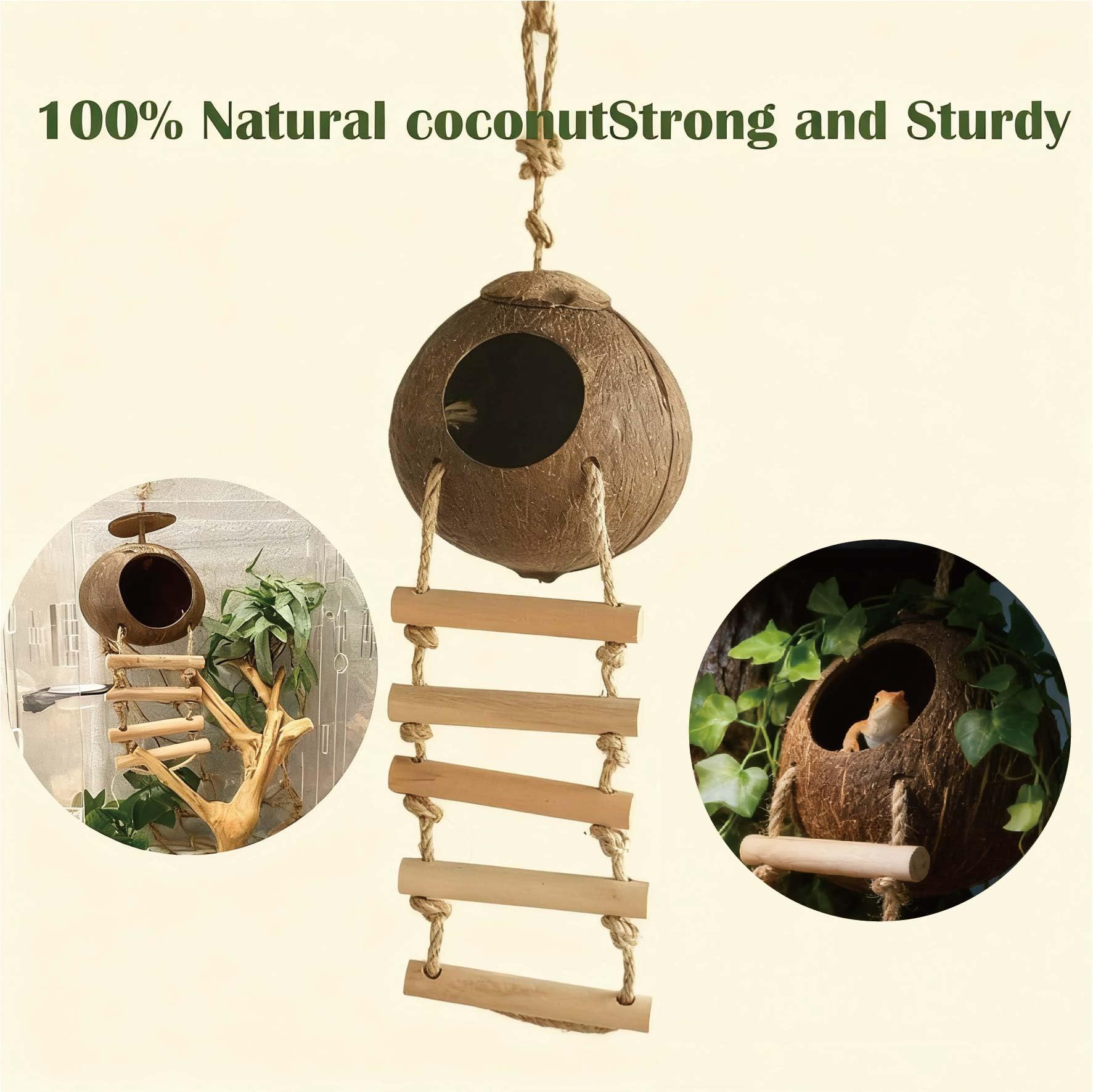 COSOC reptile hammock in tank delivers comfy resting perch and exercise space
