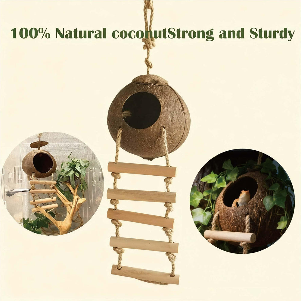 COSOC reptile hammock in tank delivers comfy resting perch and exercise space