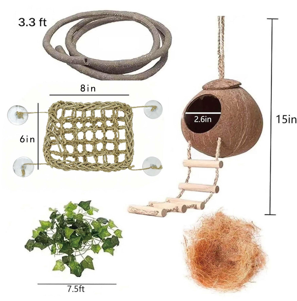COSOC hanging plant decor adds natural ambiance and enrichment