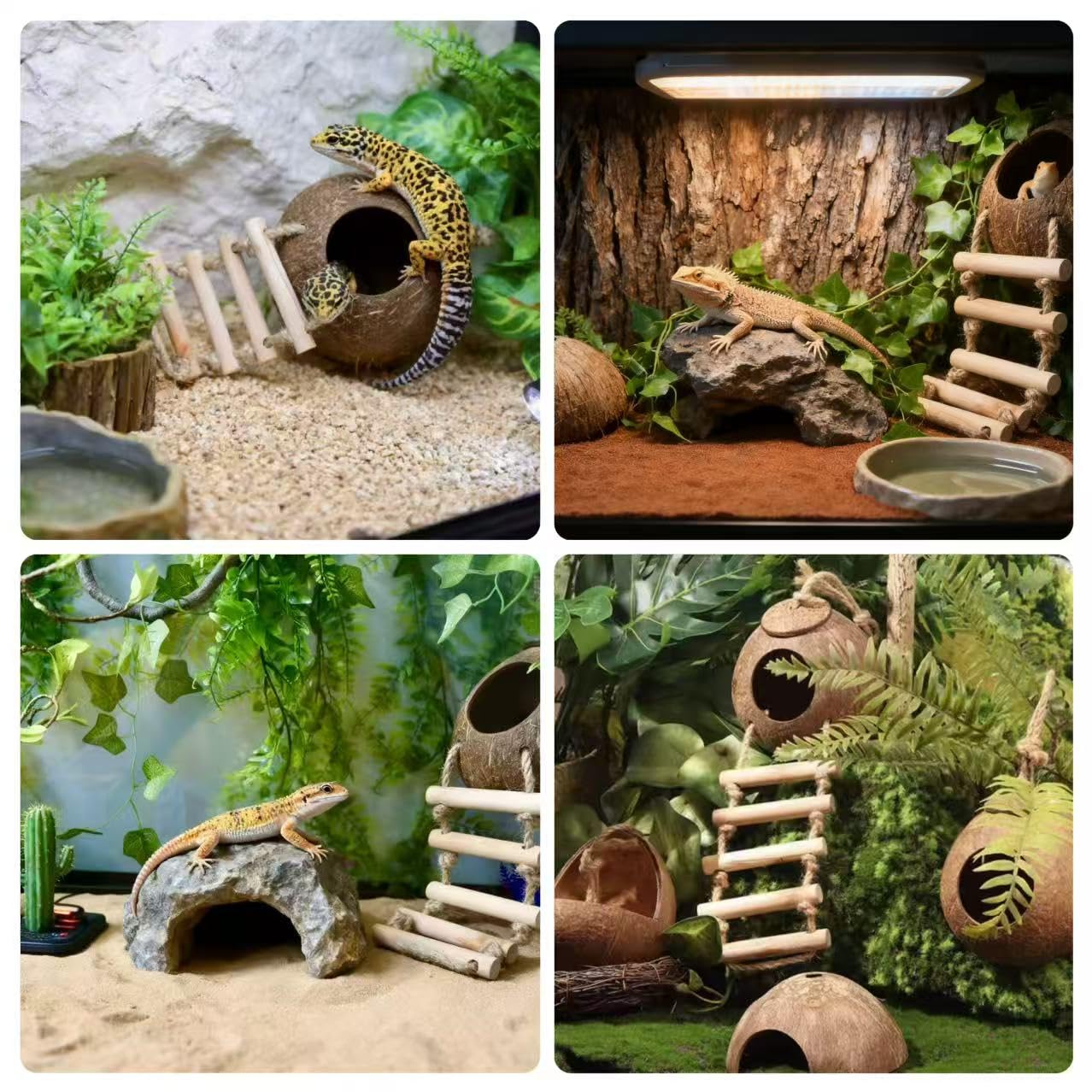 COSOC leaves decor provides soft hides and visual contrast