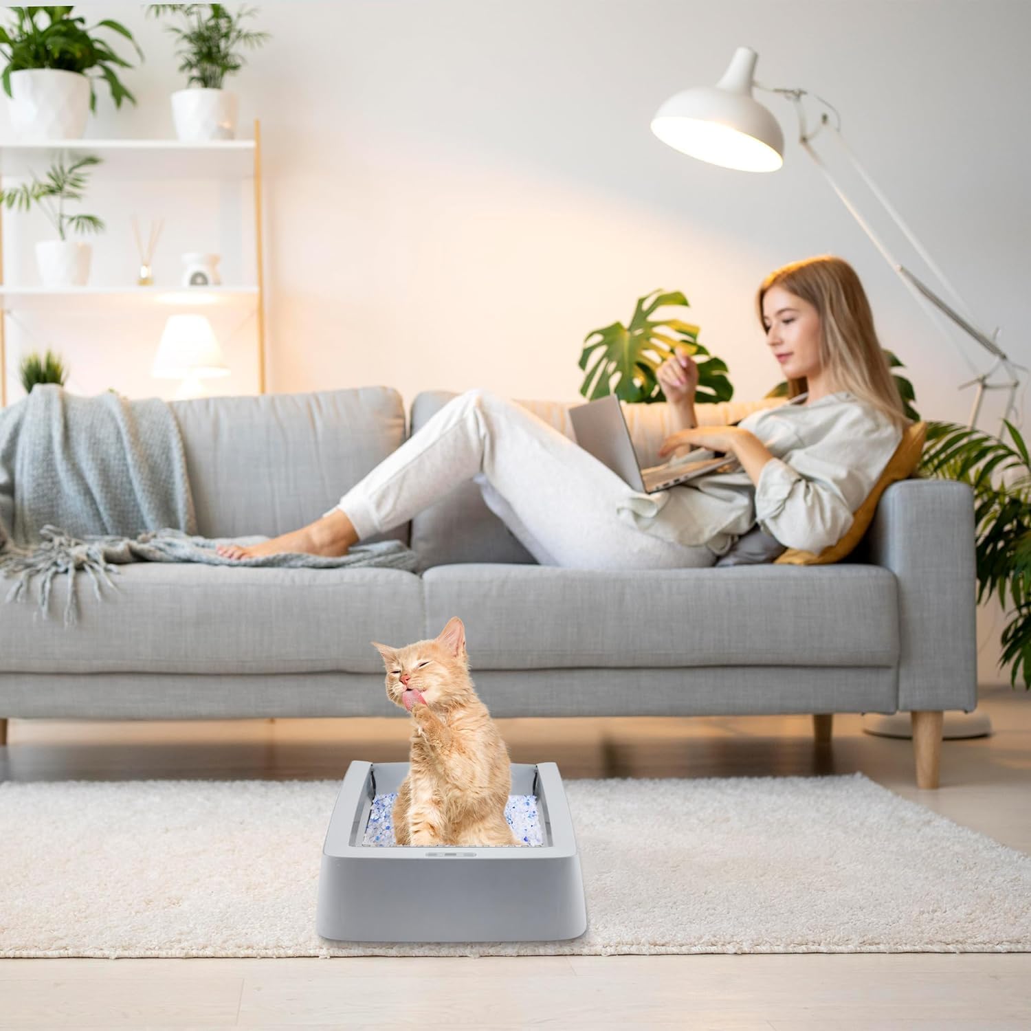 COSPARX packaging of stainless steel litter tray emphasizing reusable design