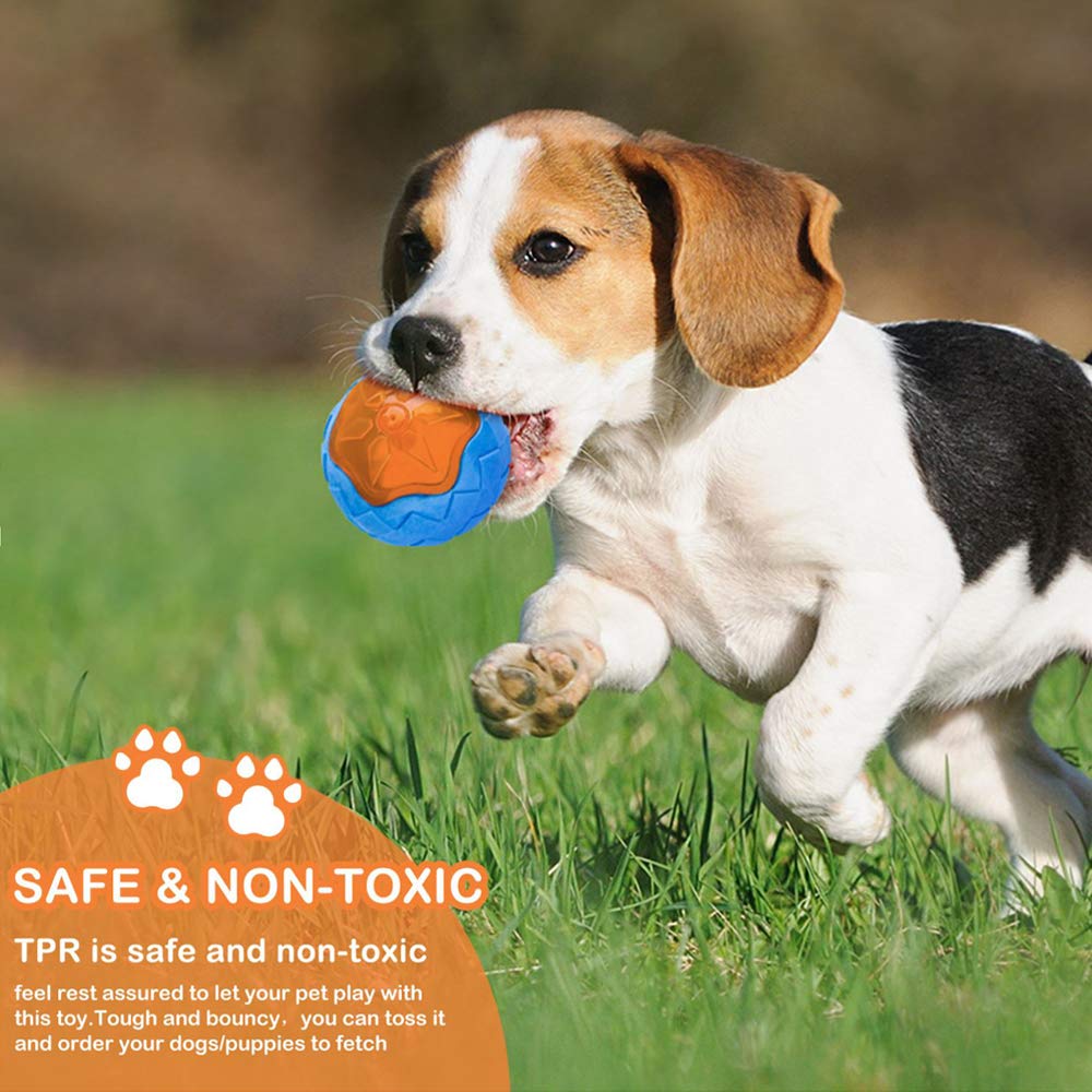 CoubonTail squeaky rugby toy for tossing and grabbing
