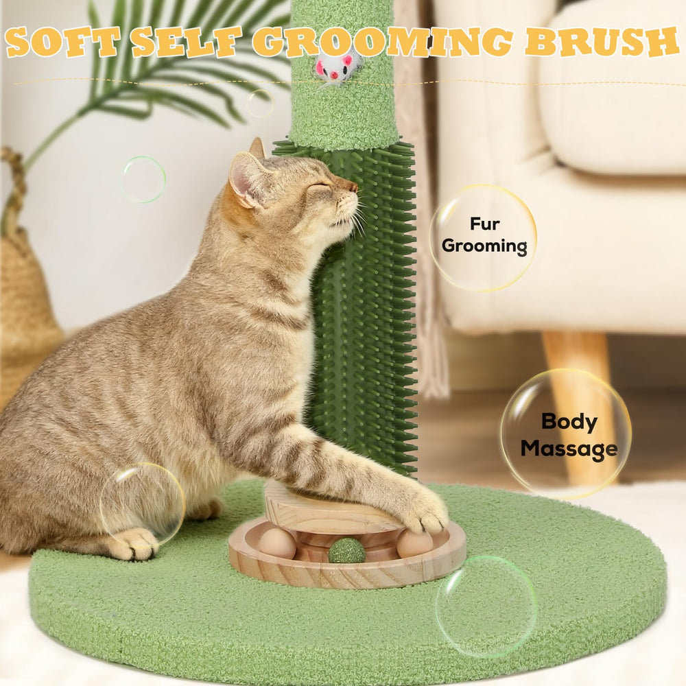 COUNER 15.7-inch base provides stable support for kittens and adults.