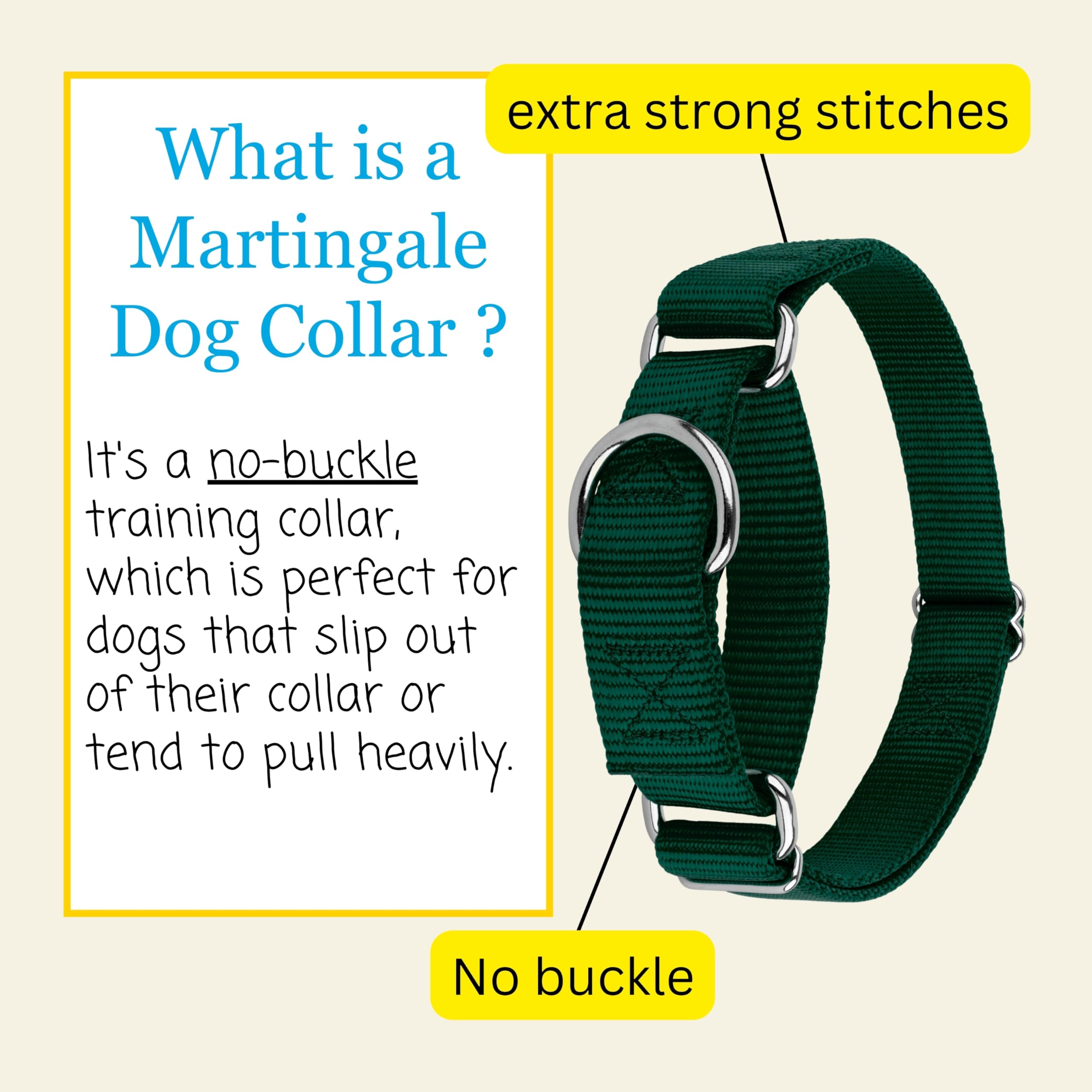 Country Brook Petz collar 1-inch medium neck fits medium dogs