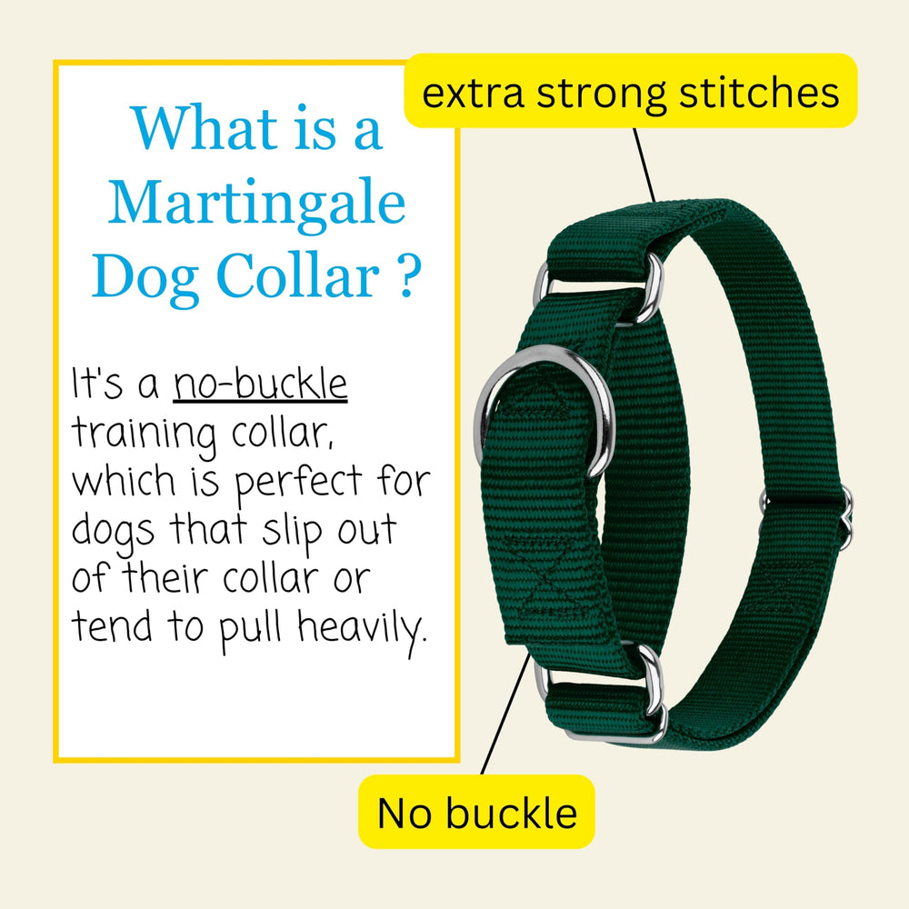Country Brook Petz collar 1-inch medium neck fits medium dogs