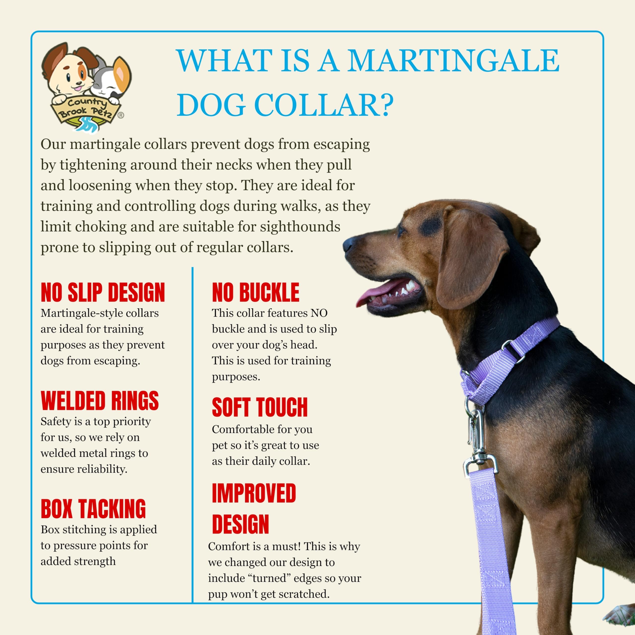 Country Brook Petz USA-made collar with colorfast dyes for lasting color.