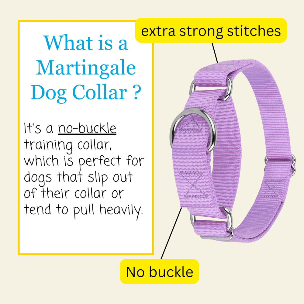 Country Brook Petz medium-neck 15-21 inch fit for Corgis and friends.