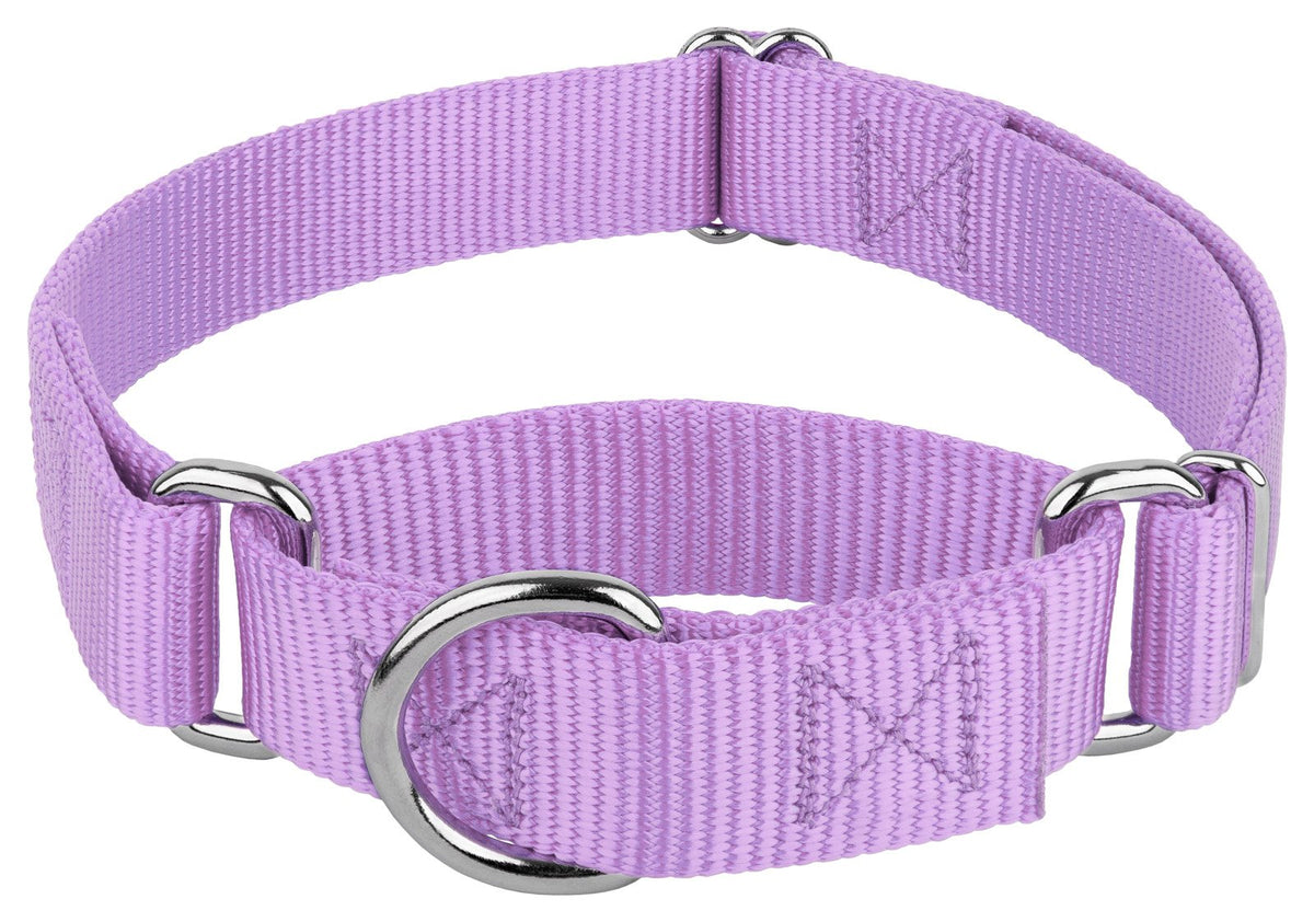 Country Brook Petz martingale collar no buckle design for easy on daily wear.