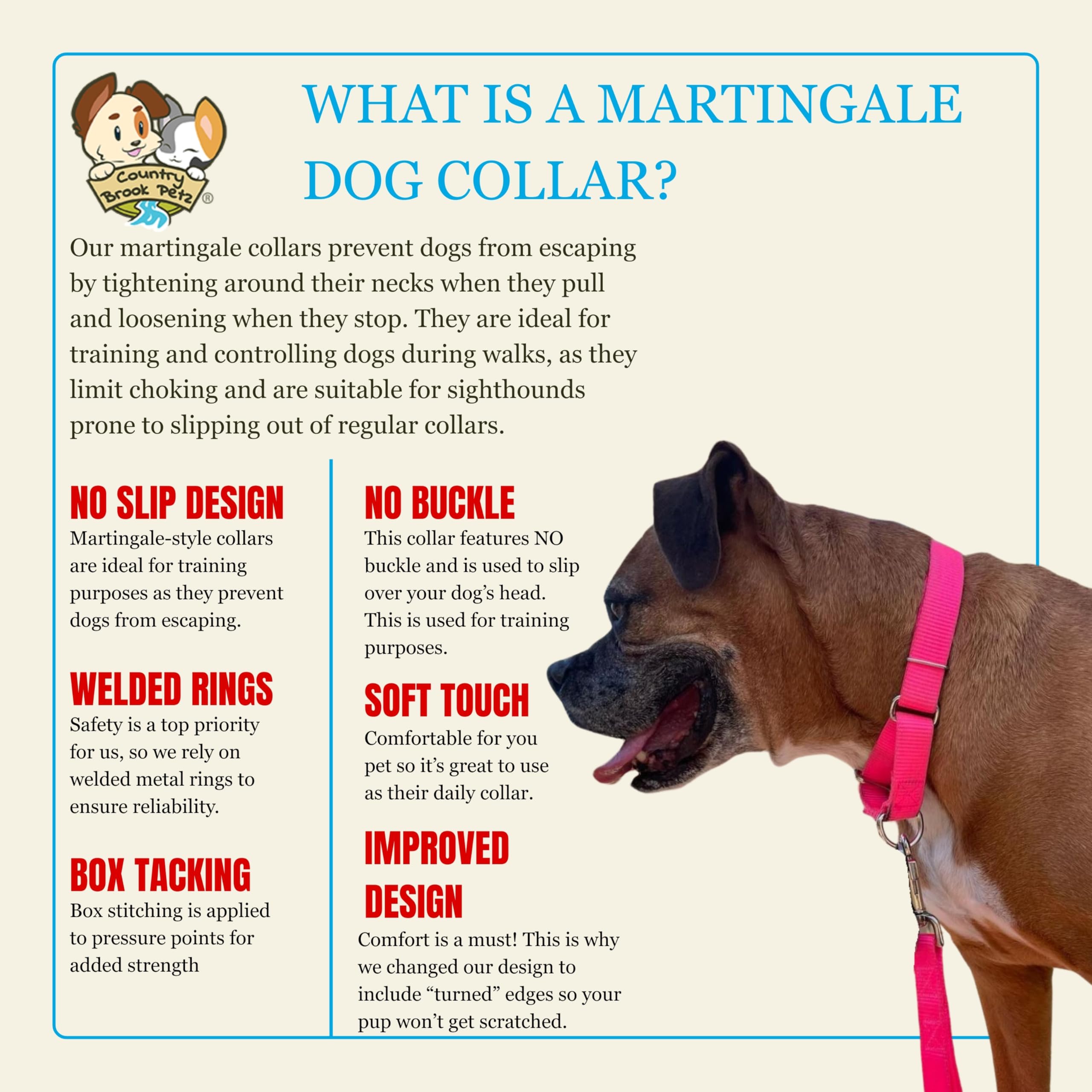 Country Brook Petz martingale collar proudly made in the USA.