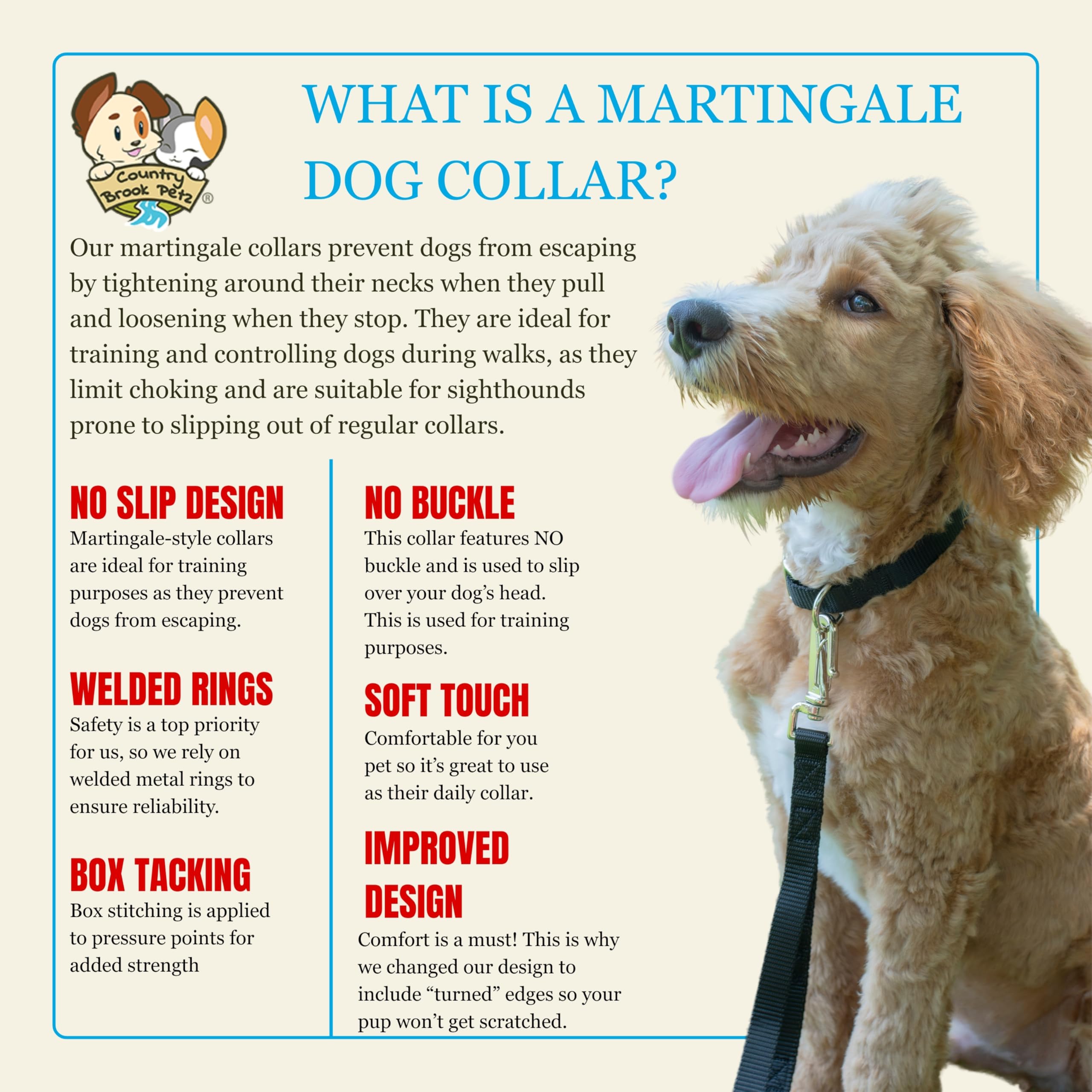 Puppy training with Country Brook Petz martingale collar before walks.