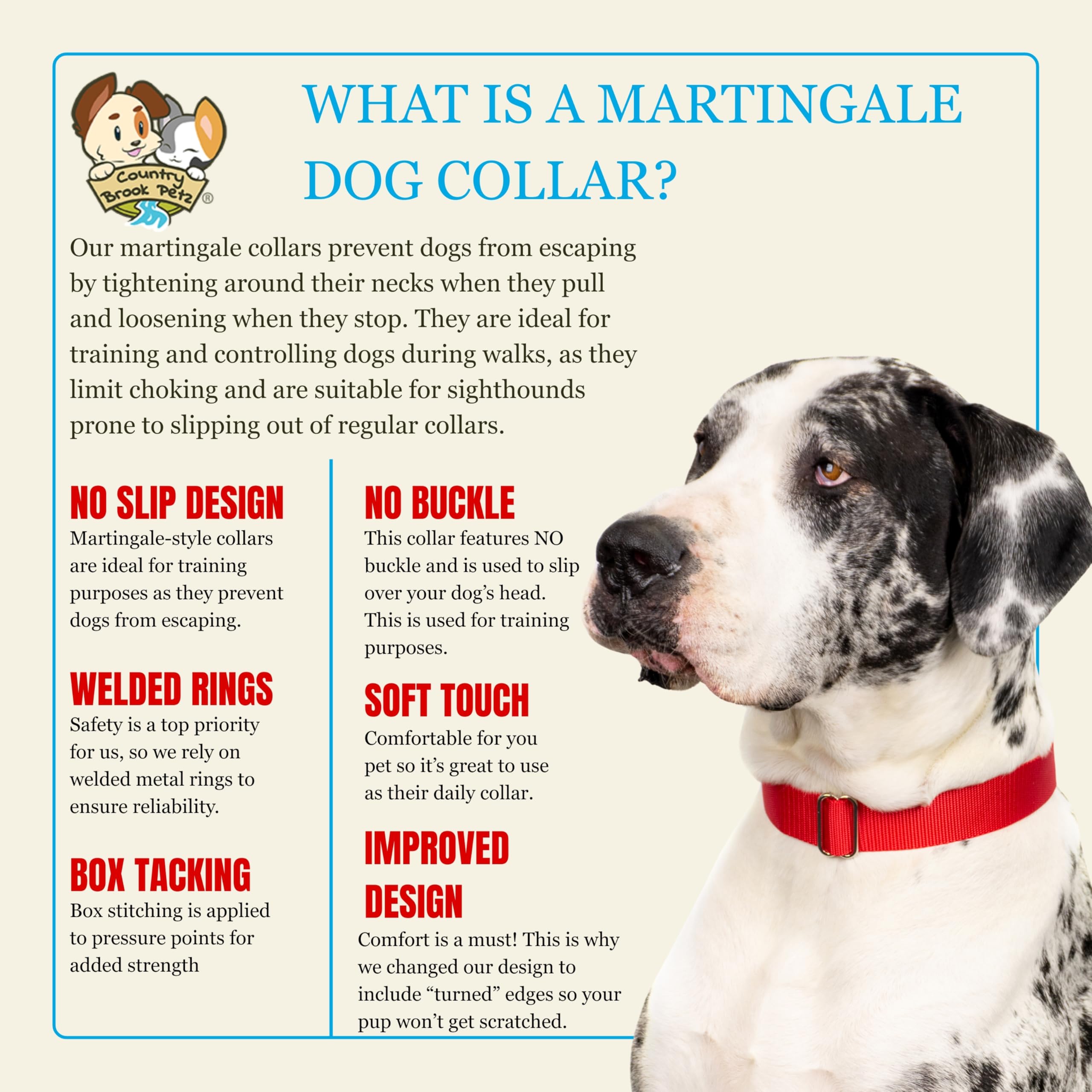 Country Brook Petz martingale collar worn during training for secure guidance