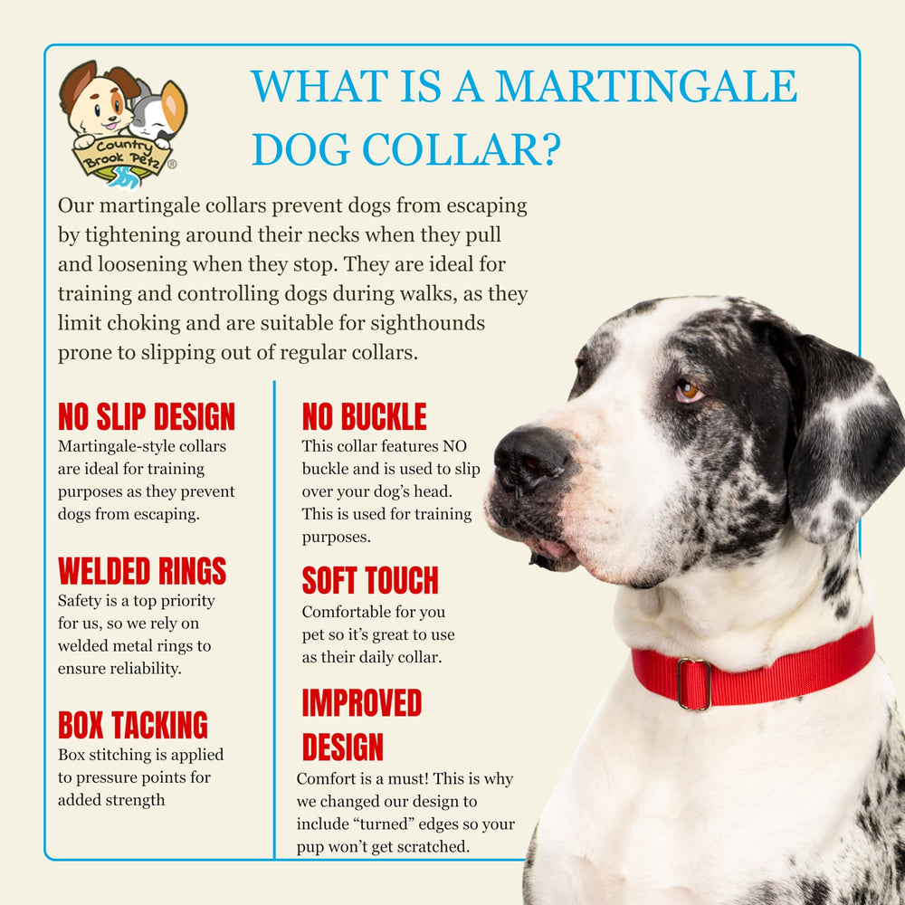 Country Brook Petz martingale collar worn during training for secure guidance